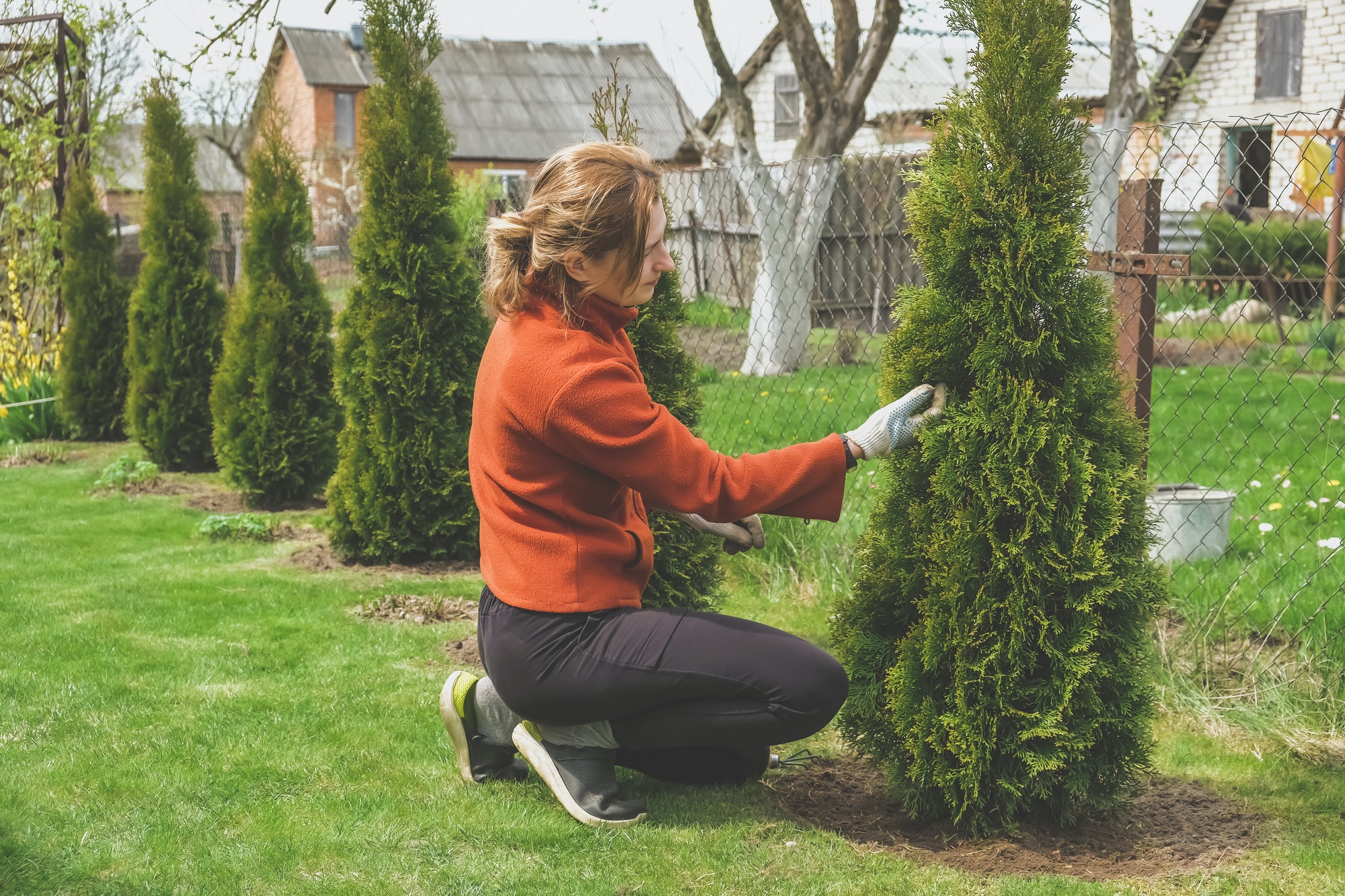 Agriculture.Girl agronomist takes care of plants in the garden at home.Cottagecore,garden house