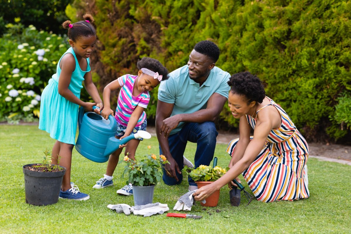 Happy african american family watering plants together in garden